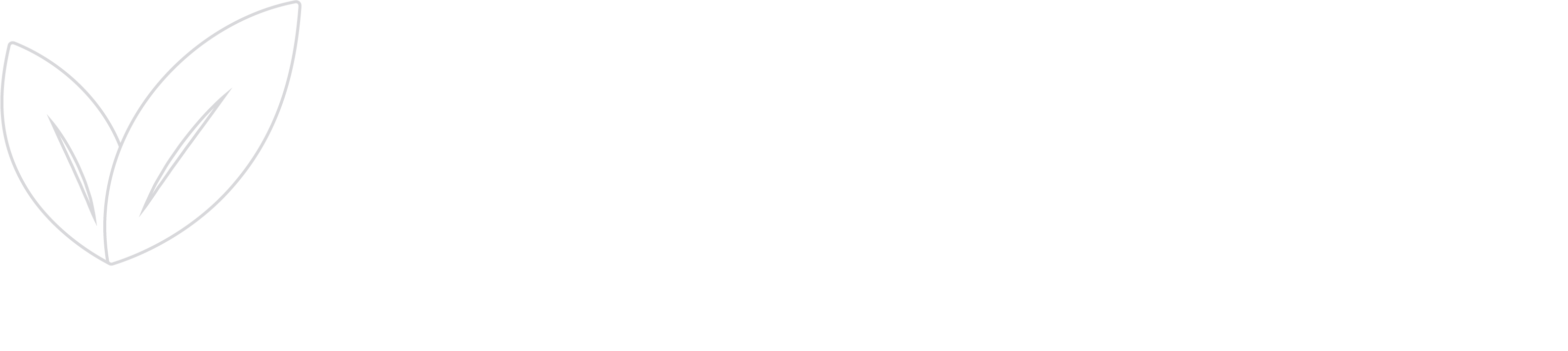 ViuBonic Administradores